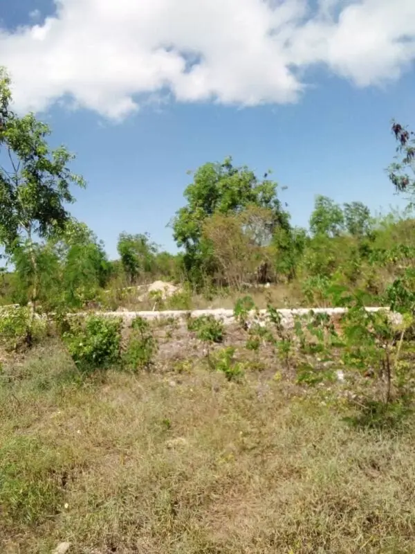 PLOT FOR SALE IN KAJIADO