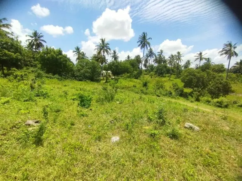PLOT FOR SALE IN KILIFI