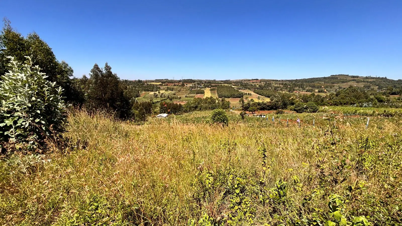 50 BY 100 PLOTS FOR SALE IN KIKUYU, THIGIO