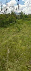50 BY 100 PLOTS FOR SALE IN JUJA FARM.