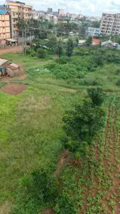 40 BY 60 PLOTS FOR SALE IN JUJA, GWA KAIRU.