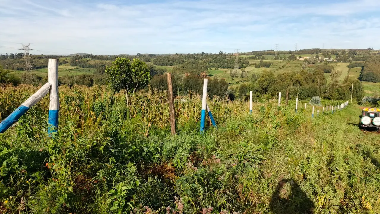 50 BY 100 PLOTS FOR SALE IN KIKUYU, THIGIO