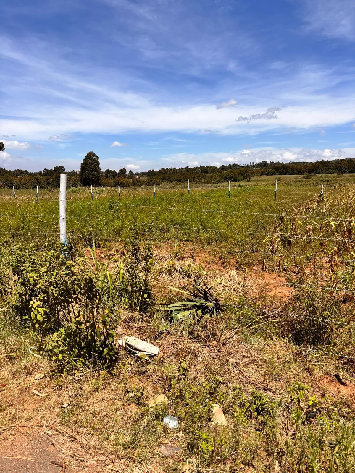 50 BY 100 PLOTS FOR SALE IN KIKUYU, NGUIRUBI