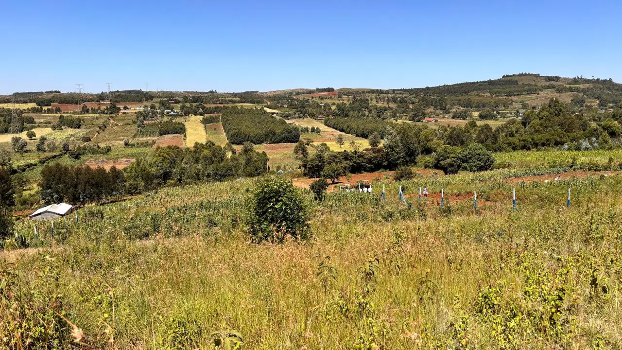 50 BY 100 PLOTS FOR SALE IN KIKUYU, THIGIO