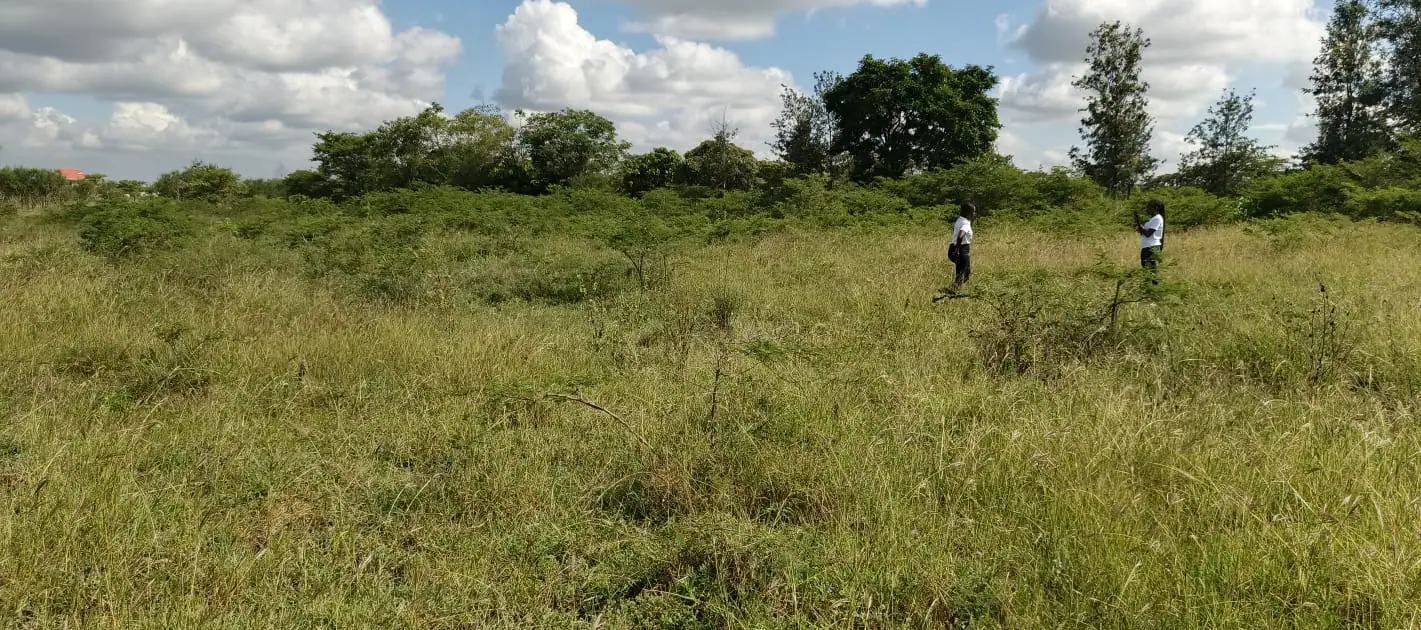 50 BY 100 PLOTS FOR SALE IN JUJA, KALIMONI.