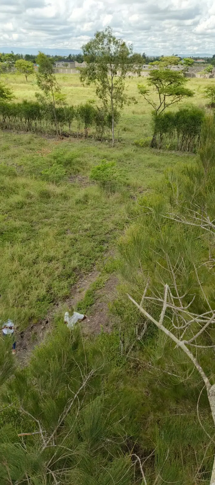 50 BY 100 PLOTS FOR SALE IN JUJA FARM.