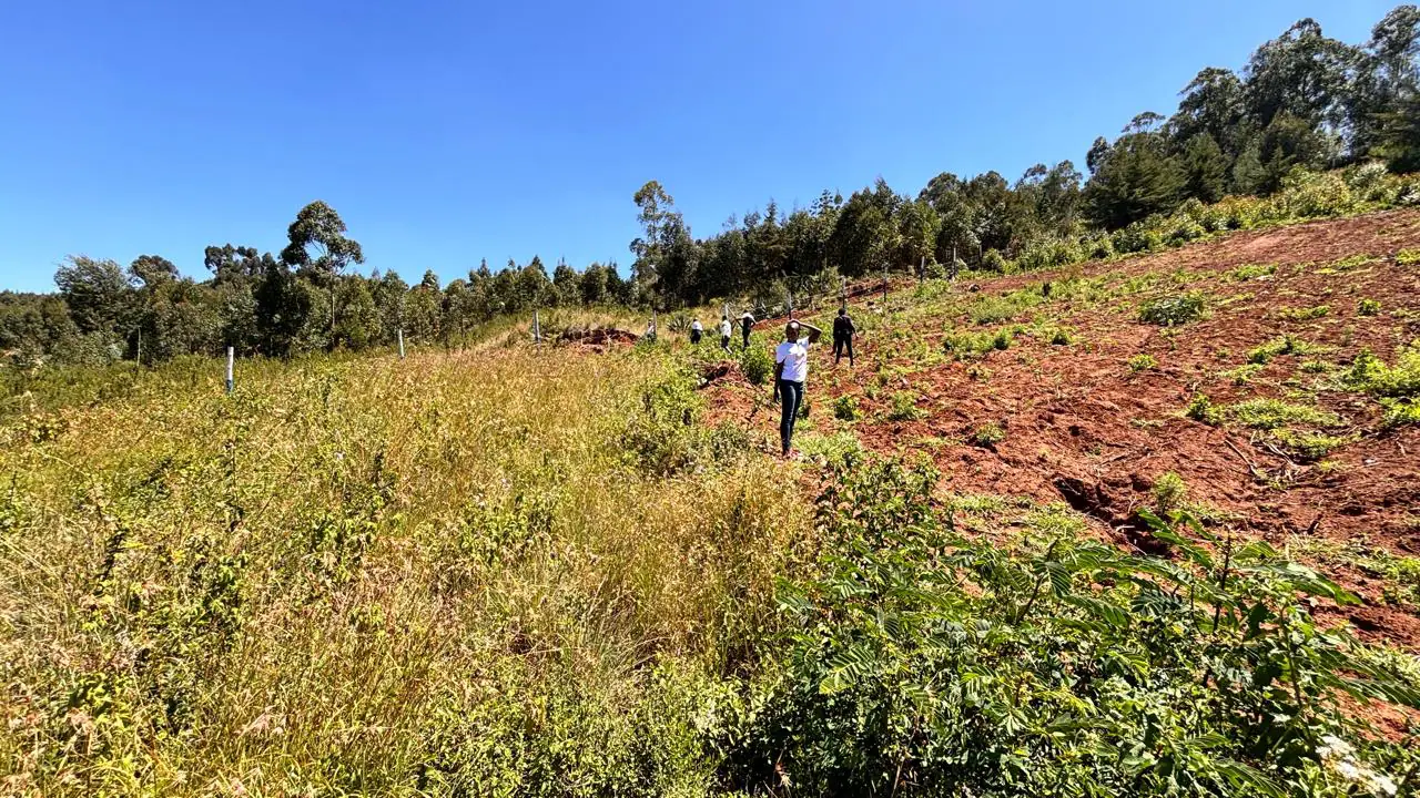 50 BY 100 PLOTS FOR SALE IN KIKUYU, THIGIO