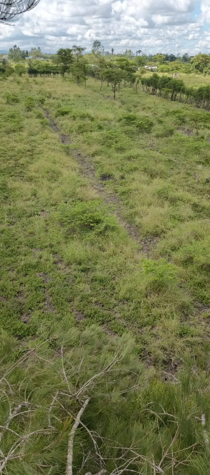50 BY 100 PLOTS FOR SALE IN JUJA FARM.