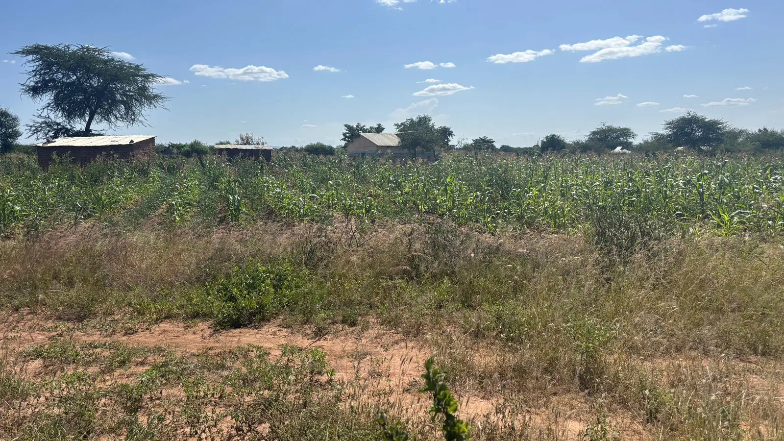 1 ACRES FOR SALE IN MASINGA.