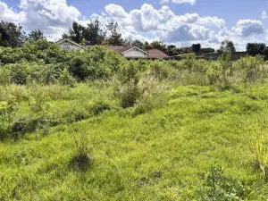 50 BY 100 PLOTS FOR SALE IN JUJA, GWA KAIRU