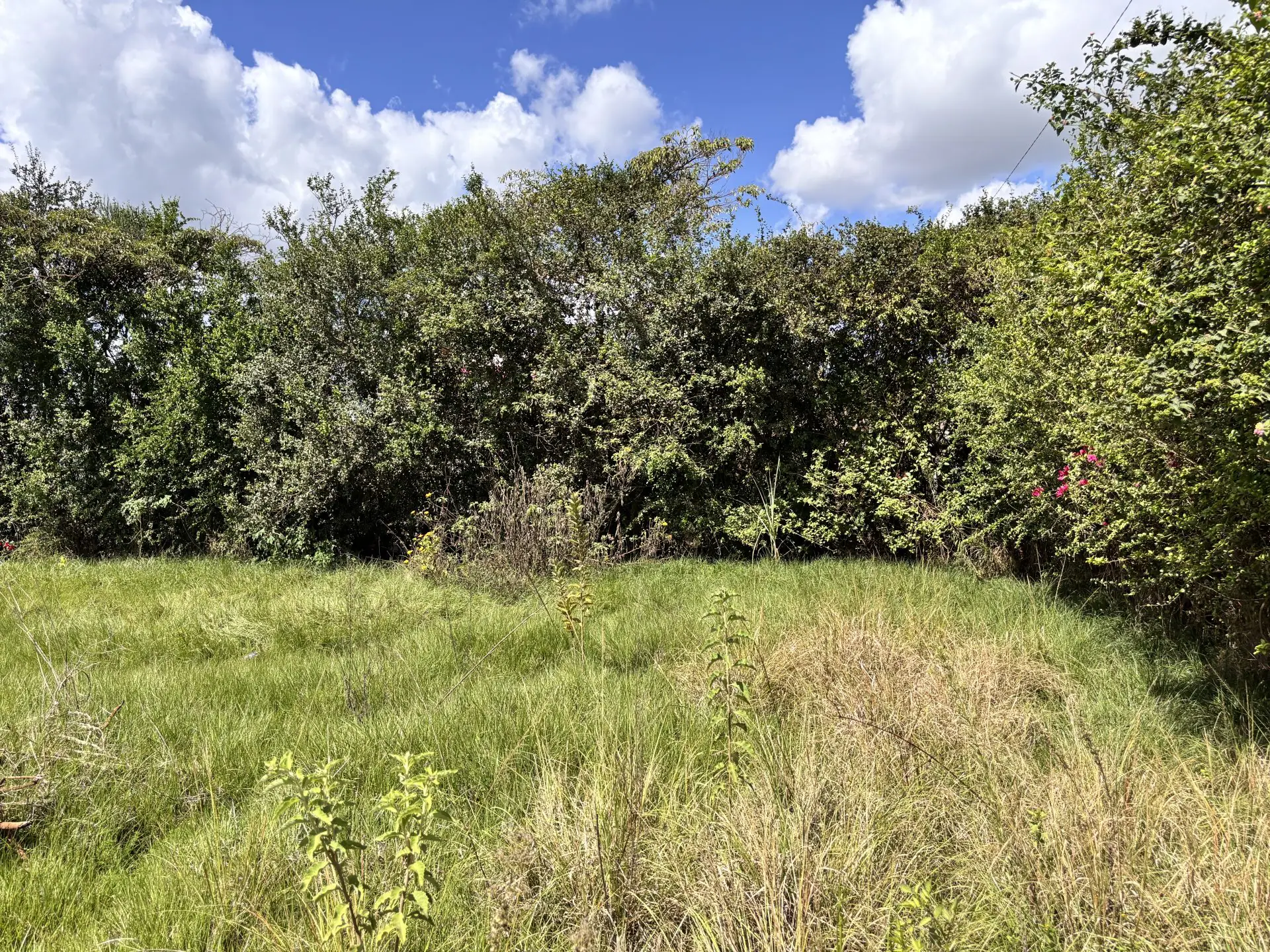 50 BY 100 PLOTS FOR SALE IN JUJA, GWA KAIRU