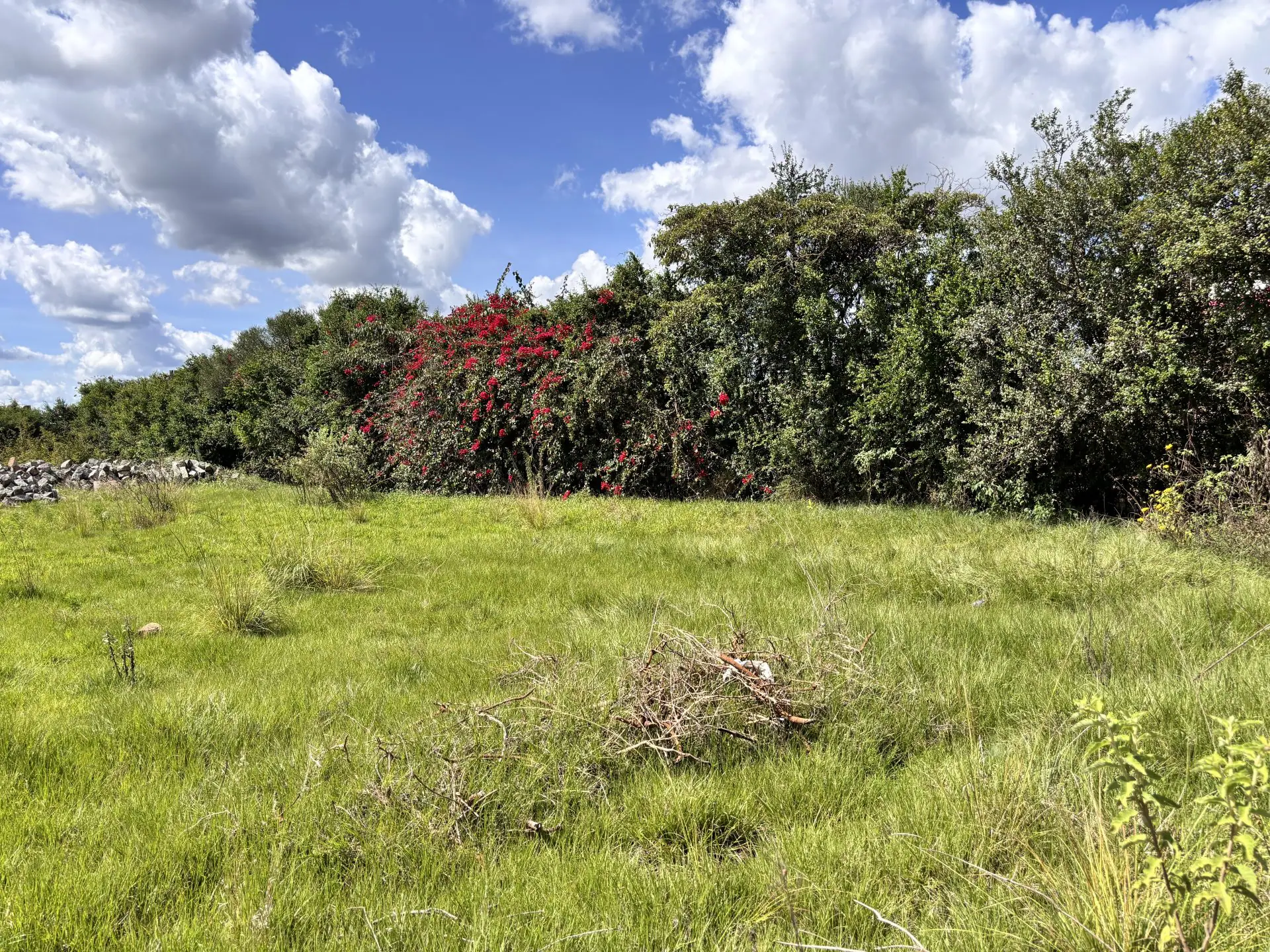 50 BY 100 PLOTS FOR SALE IN JUJA, GWA KAIRU