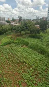 40 BY 60 PLOTS FOR SALE IN JUJA GWA KAIRU