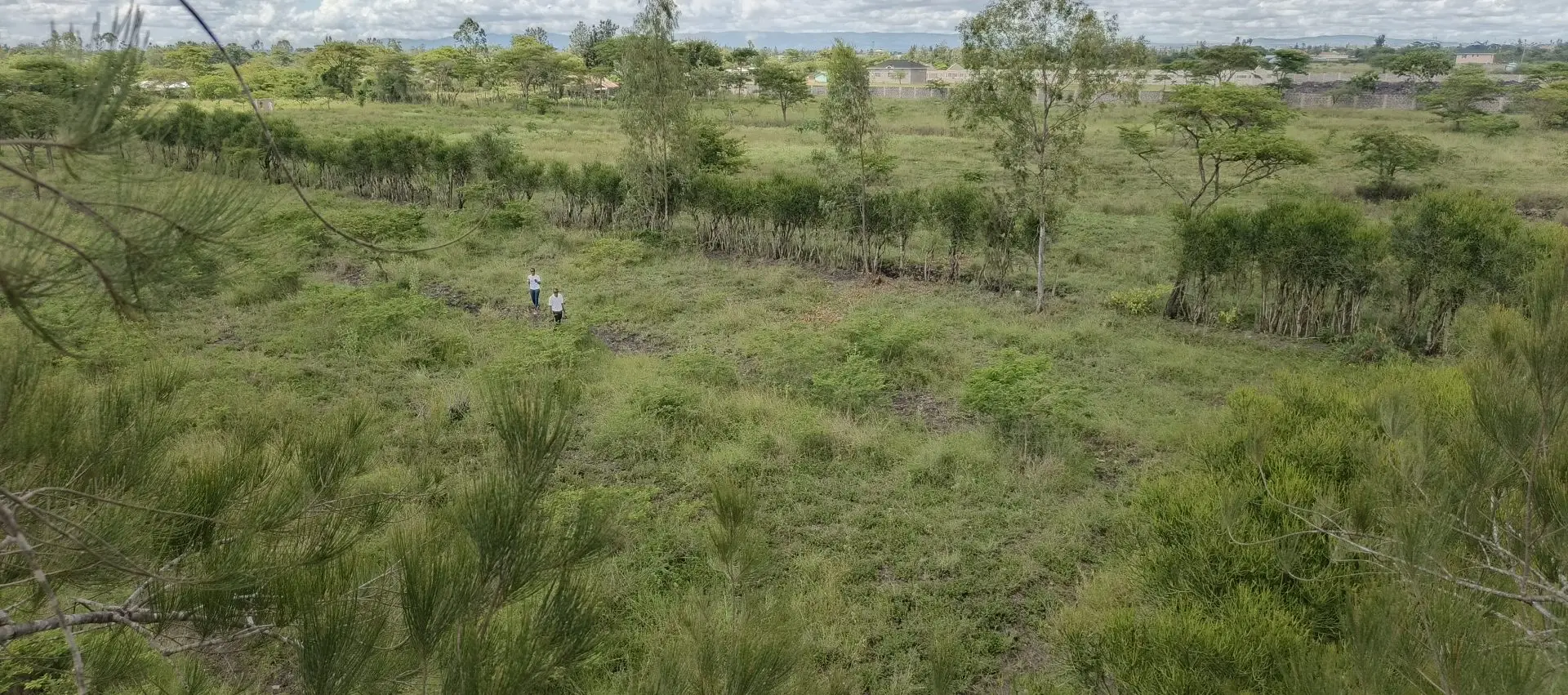 50 BY 100 PLOTS FOR SALE IN JUJA FARM.