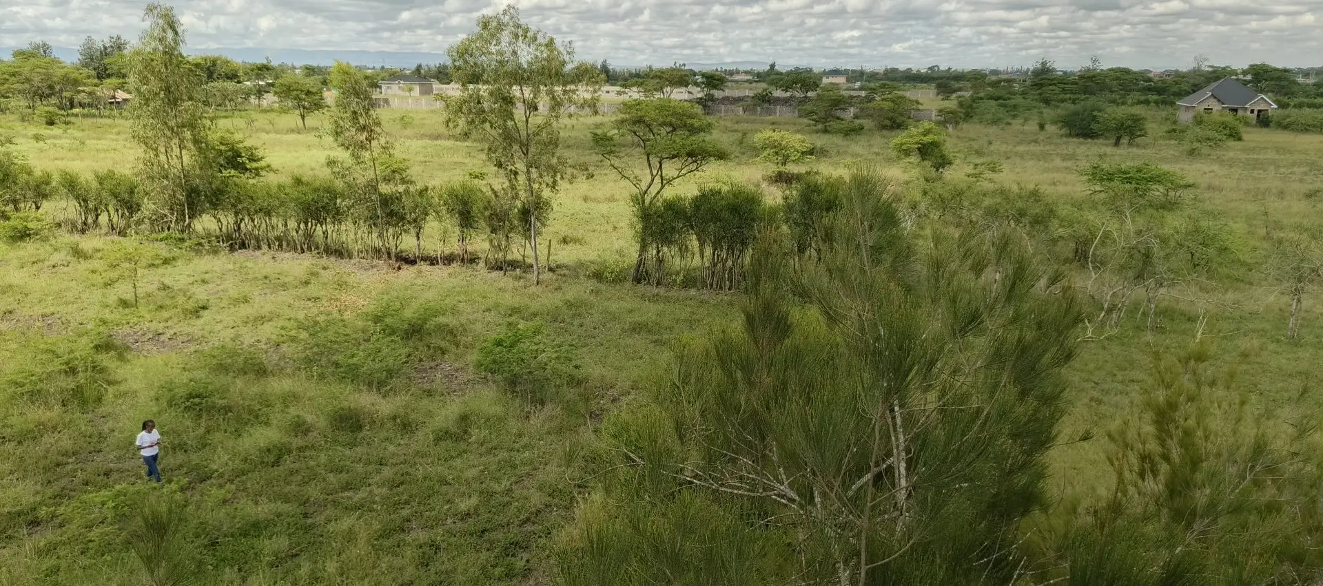 50 BY 100 PLOTS FOR SALE IN JUJA FARM.
