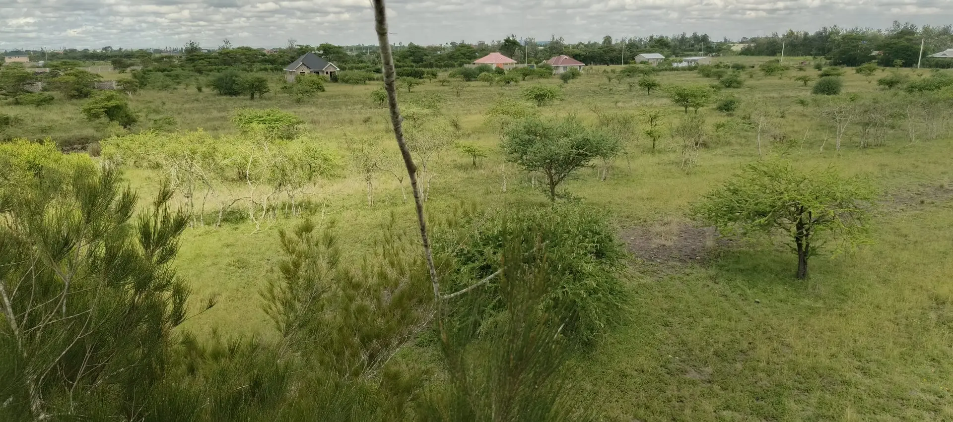 50 BY 100 PLOTS FOR SALE IN JUJA FARM.