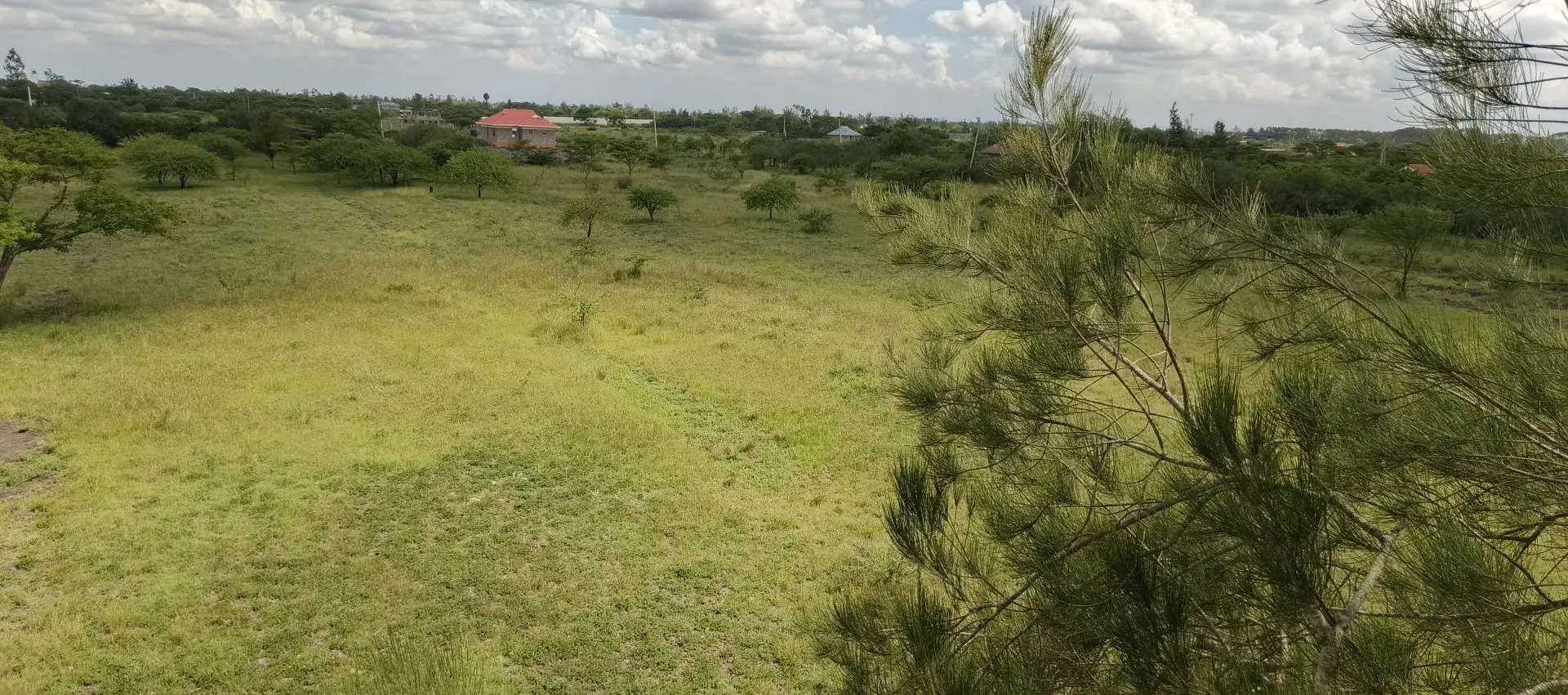 50 BY 100 PLOTS FOR SALE IN JUJA FARM.