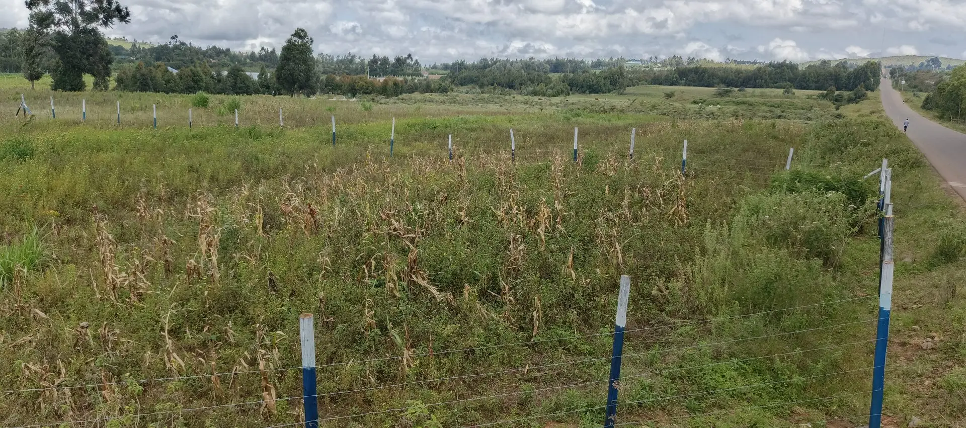 50 BY 100 PLOTS FOR SALE IN KIKUYU, NGUIRUBI