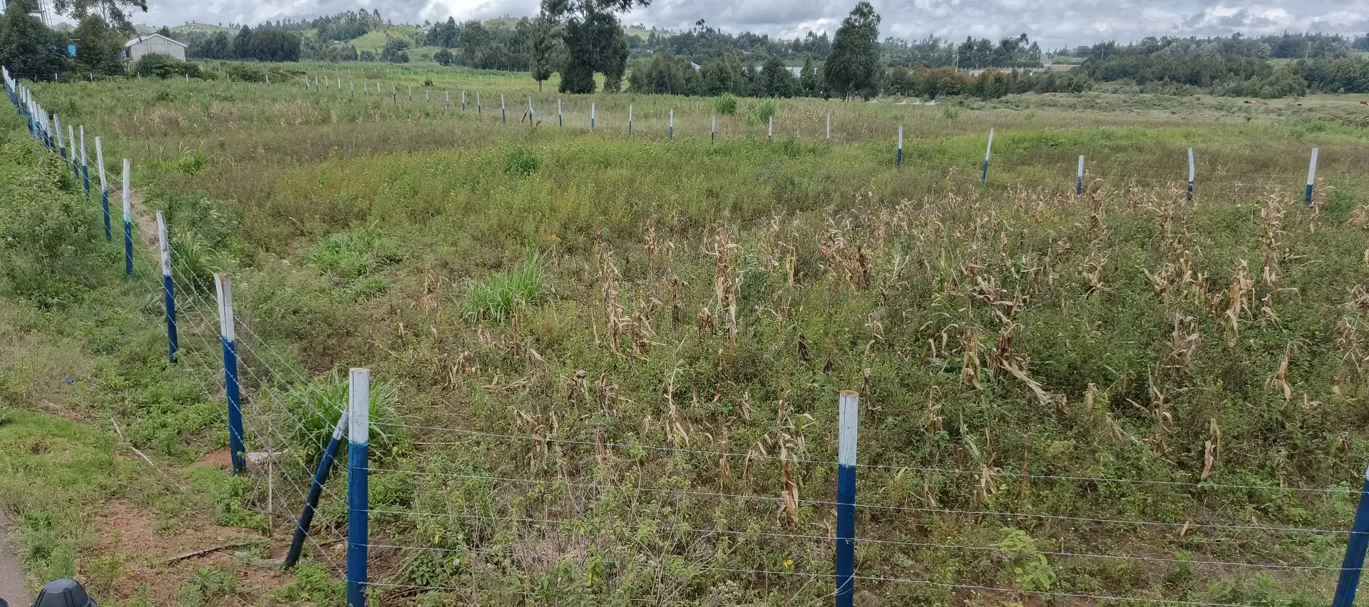 50 BY 100 PLOTS FOR SALE IN KIKUYU, NGUIRUBI