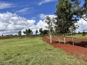 PLOT FOR SALE IN KIAMBU, JUJA