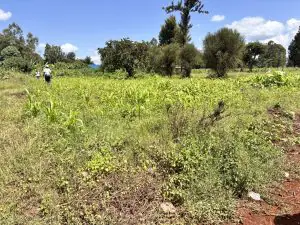 QUARTER ACRE FOR SALE IN KIMBIMBI, KEROGUYA