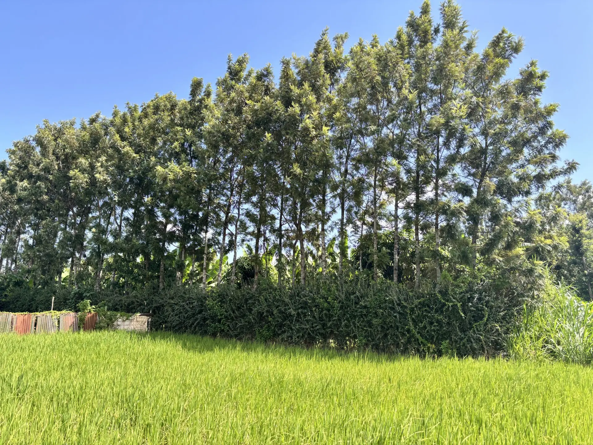 1 ACRE FOR SALE IN KIMBIMBI.