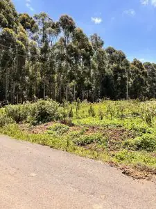 50 BY 100 PLOTS FOR SALE IN KIKUYU, THIGIO