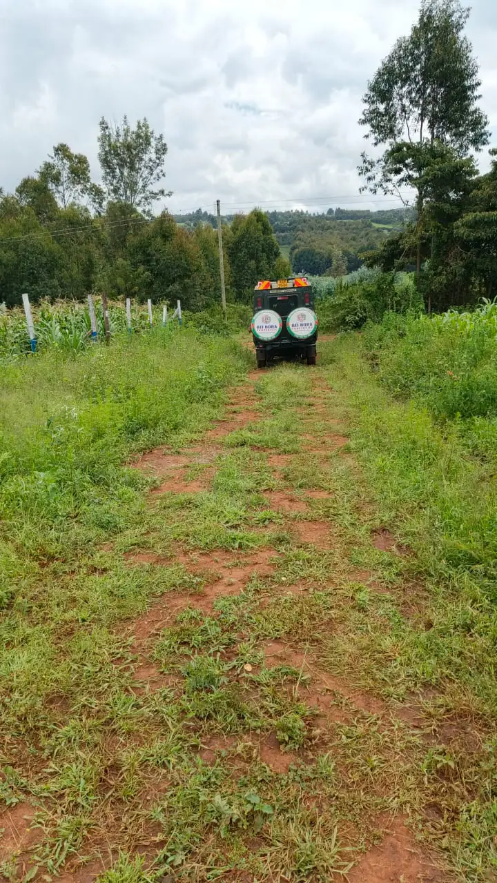 PLOTS FOR SALE IN KIKUYU, THIGIO