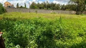 40 BY 80 PLOTS FOR SALE IN JUJA, GWA KAIRU