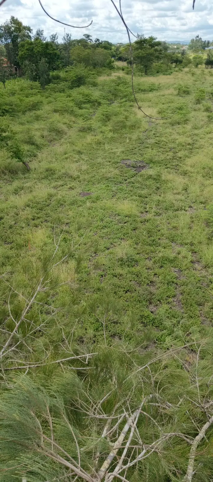 50 BY 100 PLOTS FOR SALE IN JUJA FARM.