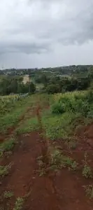 PLOTS FOR SALE IN KIKUYU, THIGIO