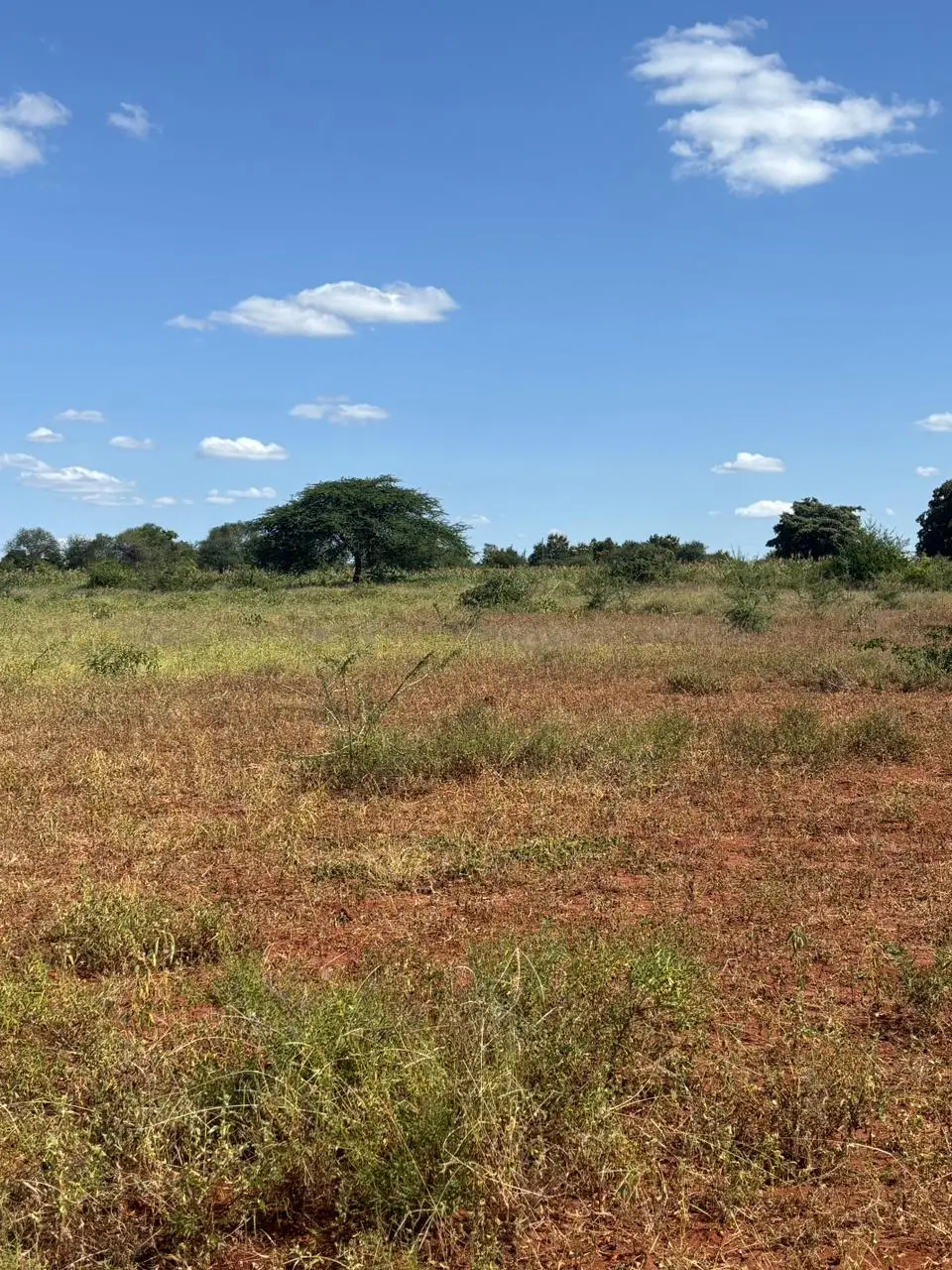 LAND FOR SALE IN MACHAKOS, MASINGA.