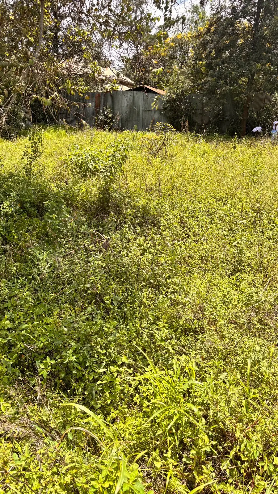 40 BY 60 PLOTS FOR SALE IN JUJA, GWA KAIRU.