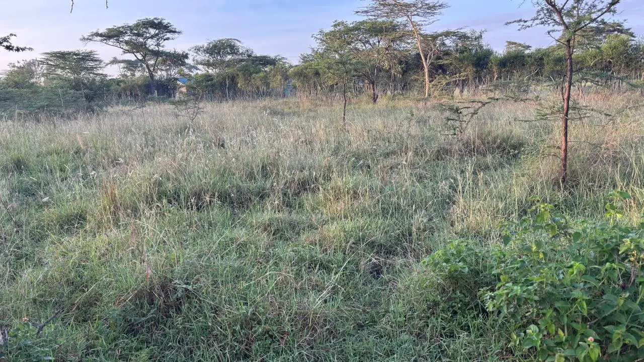 50 BY 100 PLOTS FOR SALE IN JUJA FARM.