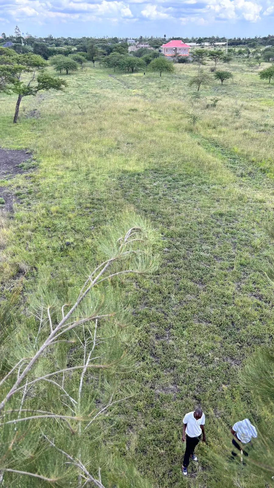 50 BY 100 PLOTS FOR SALE IN JUJA FARM.