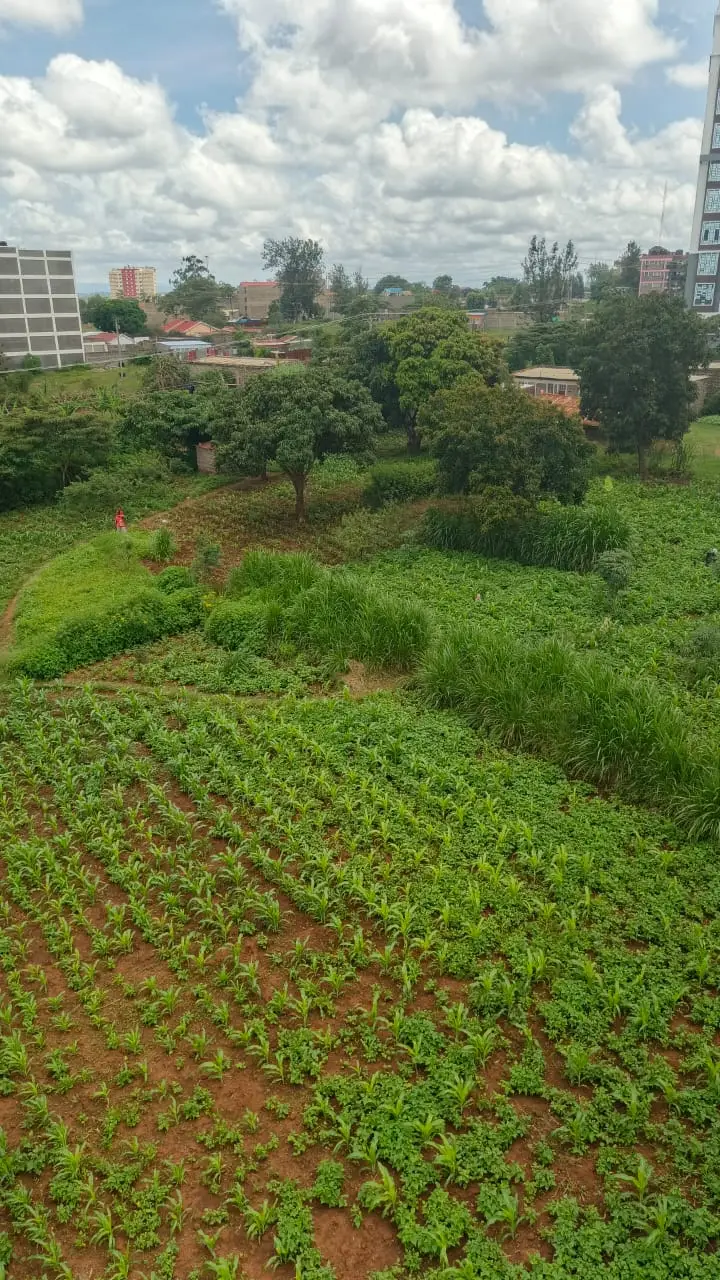 40 BY 60 PLOTS FOR SALE IN JUJA, GWA KAIRU.