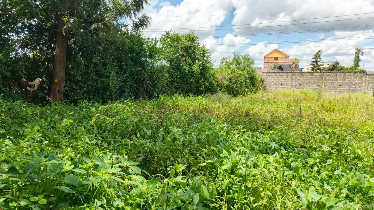 40 BY 60 PLOTS FOR SALE IN JUJA, GWA KAIRU.