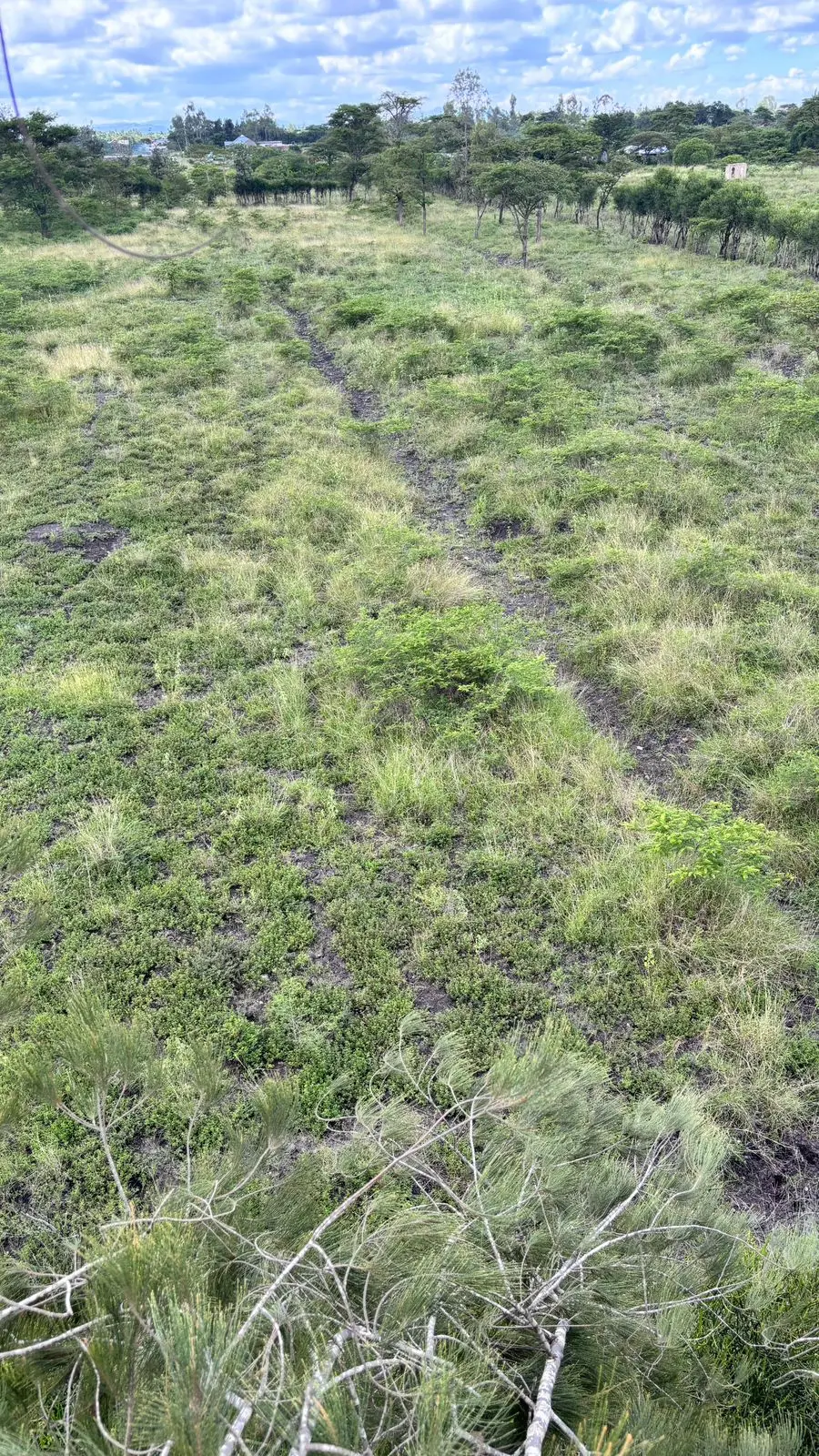 50 BY 100 PLOTS FOR SALE IN JUJA FARM.