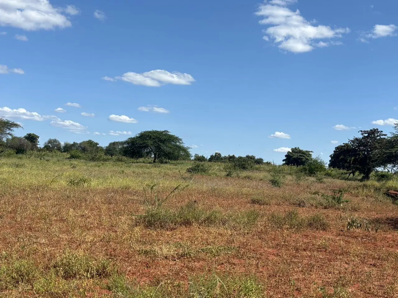 LAND FOR SALE IN MASINGA.