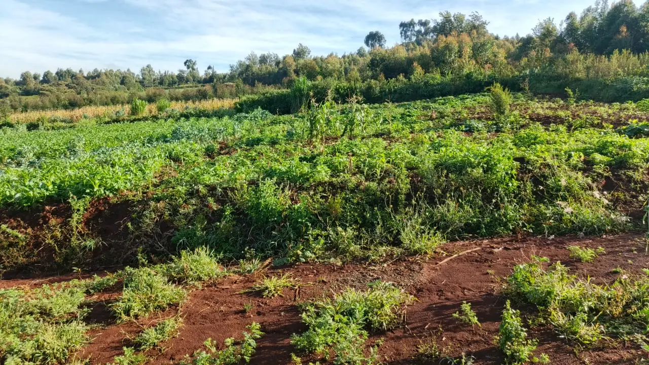 PLOTS FOR SALE IN KIKUYU, THIGIO