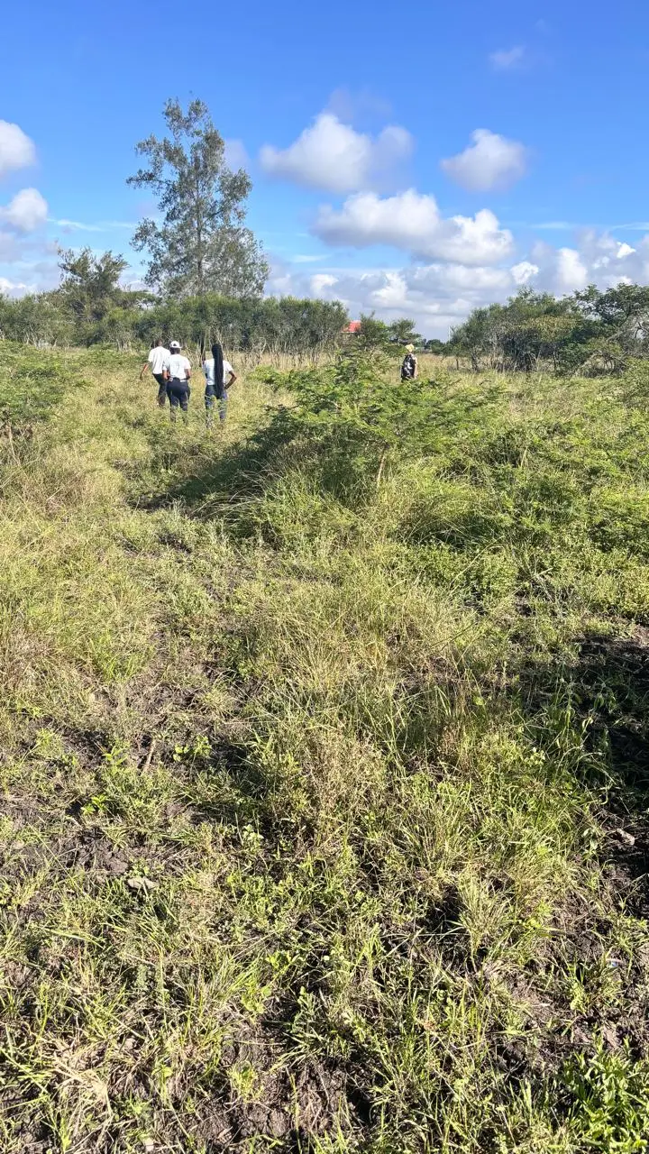 50 BY 100 PLOTS FOR SALE IN JUJA FARM.