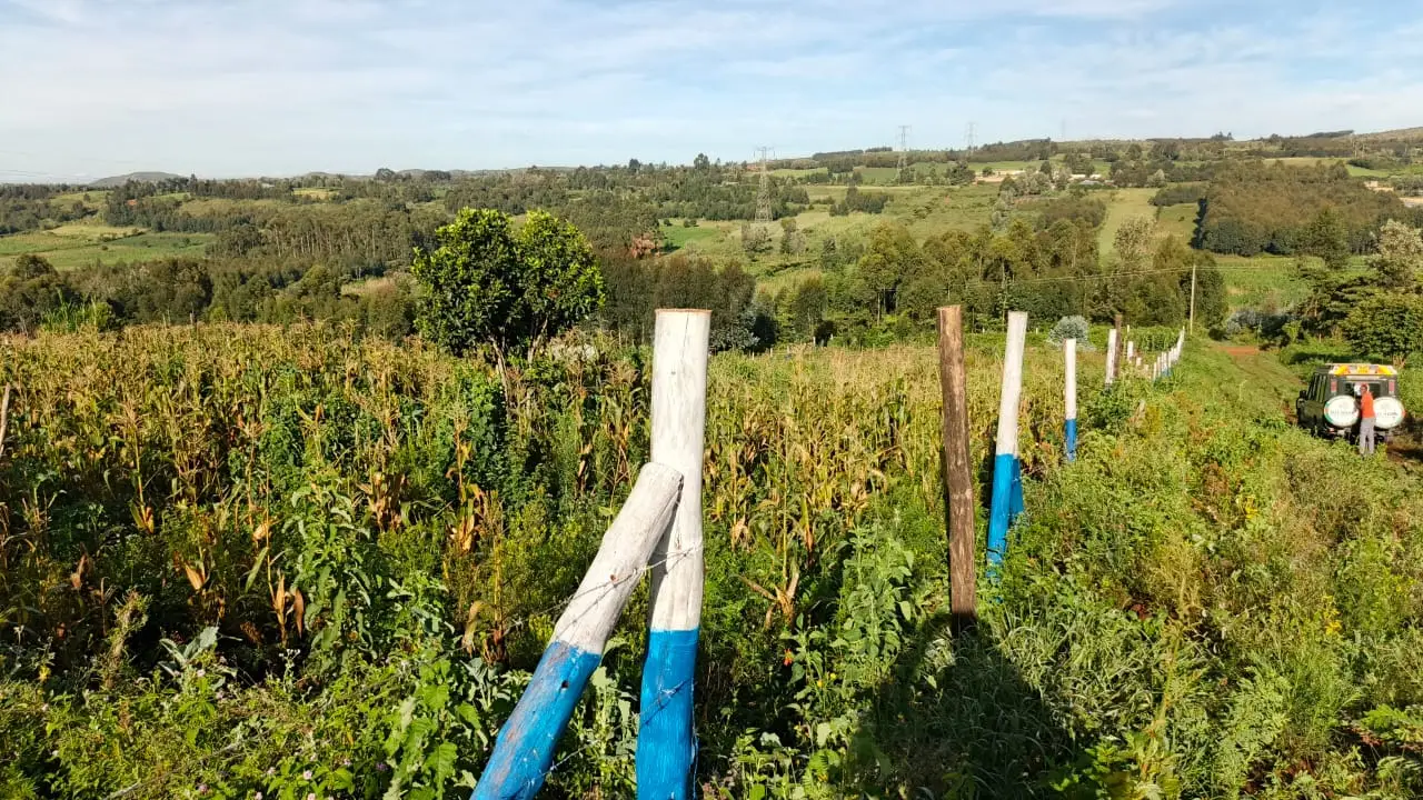 PLOTS FOR SALE IN KIKUYU, THIGIO