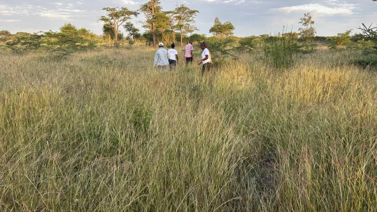 50 BY 100 PLOTS FOR SALE IN JUJA FARM.