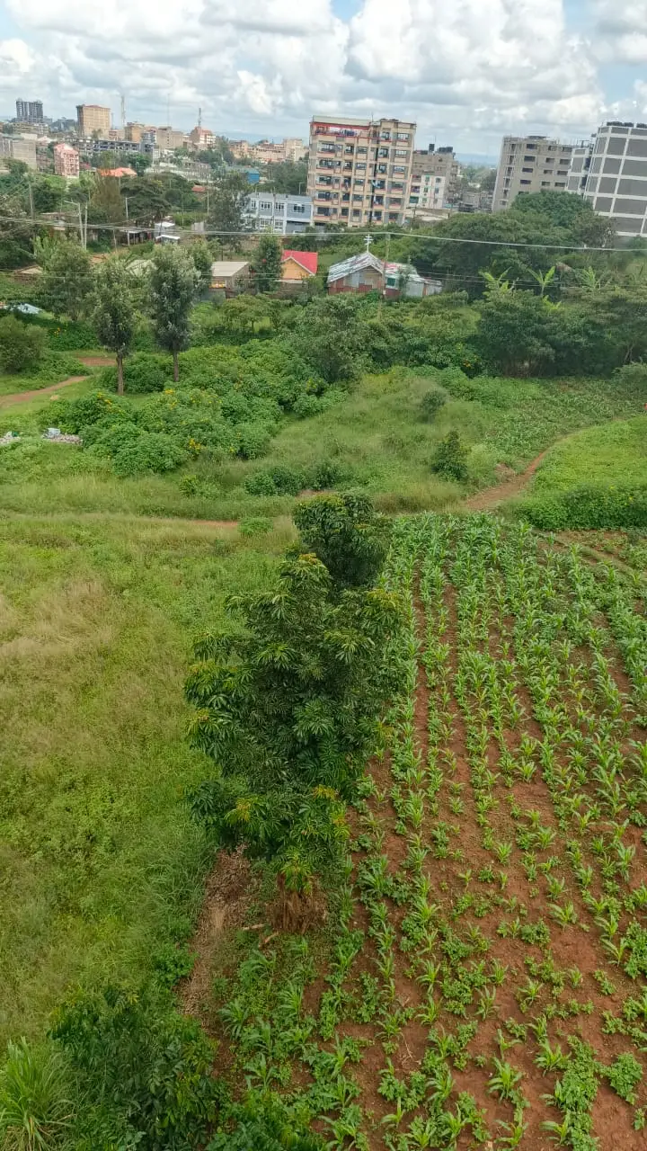 40 BY 60 PLOTS FOR SALE IN JUJA, GWA KAIRU.