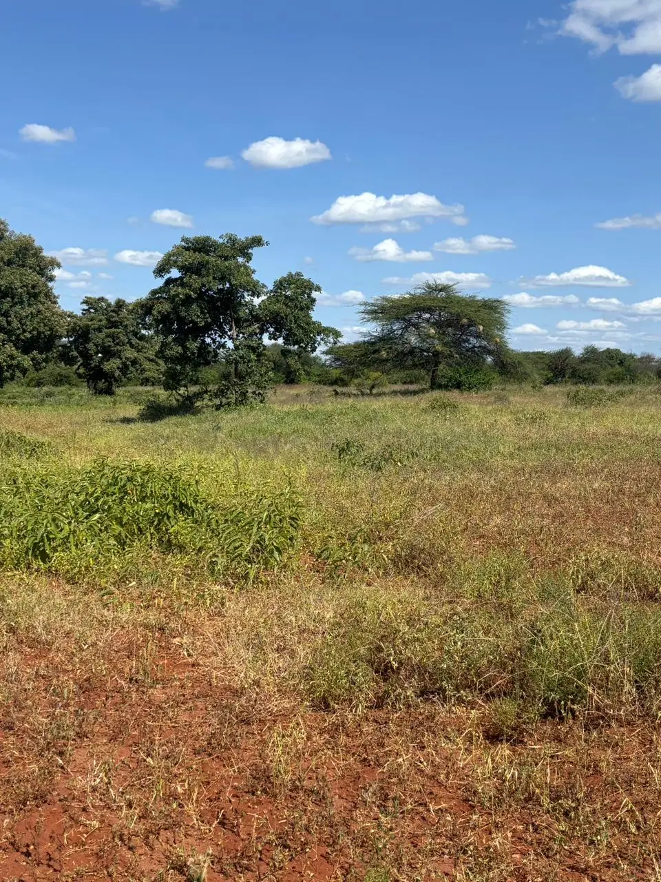 LAND FOR SALE IN MASINGA.