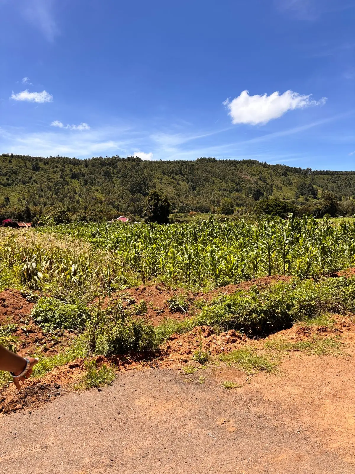 50 BY 100 PLOTS FOR SALE IN KIKUYU, NGUIRUBI