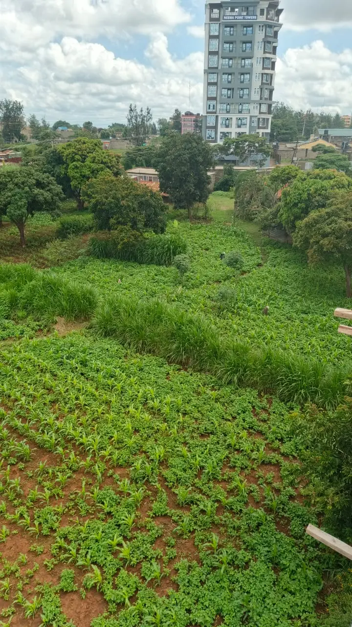 40 BY 60 PLOTS FOR SALE IN JUJA, GWA KAIRU.
