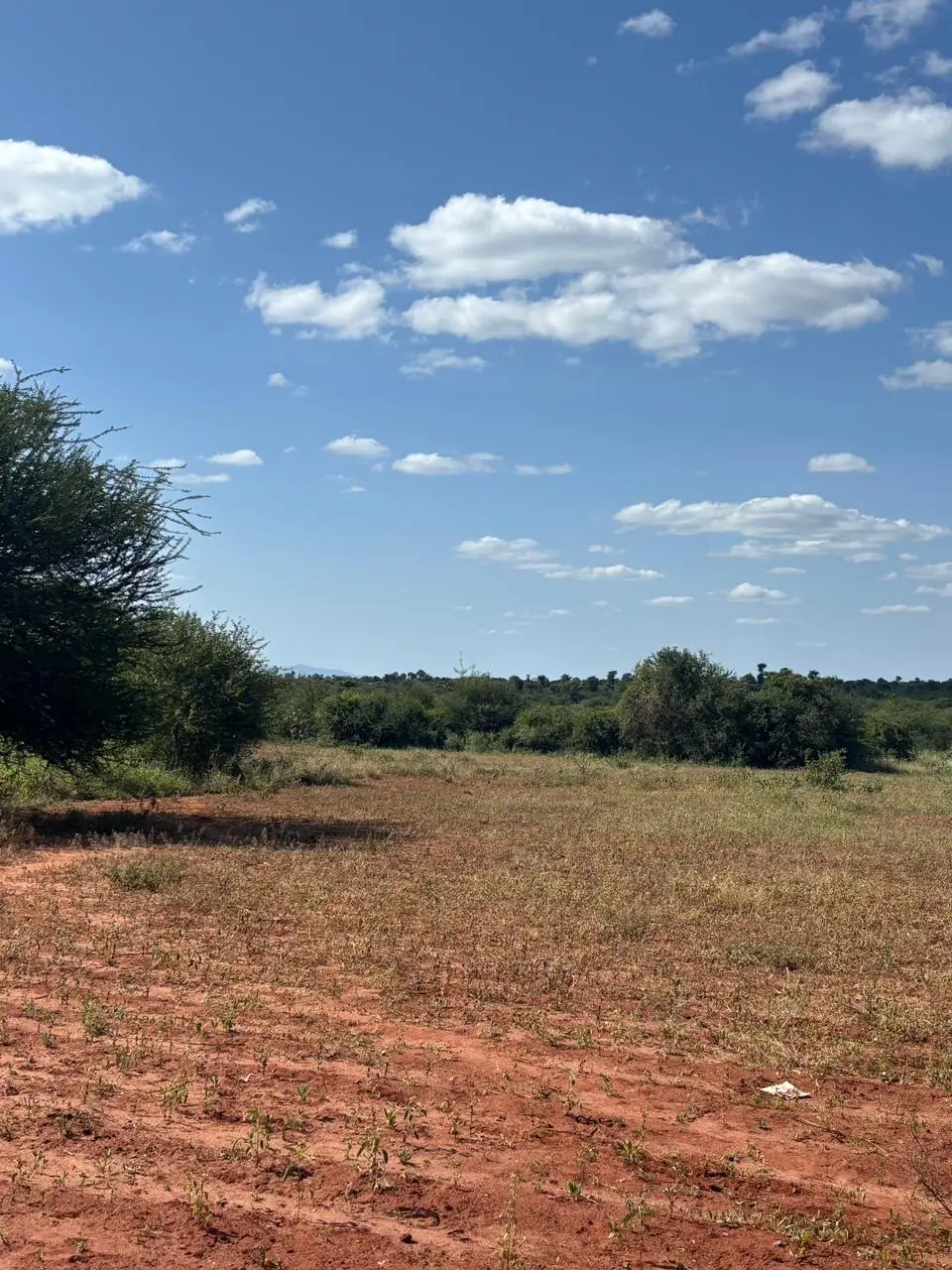 LAND FOR SALE IN MASINGA.