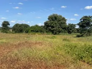 LAND FOR SALE IN MASINGA.