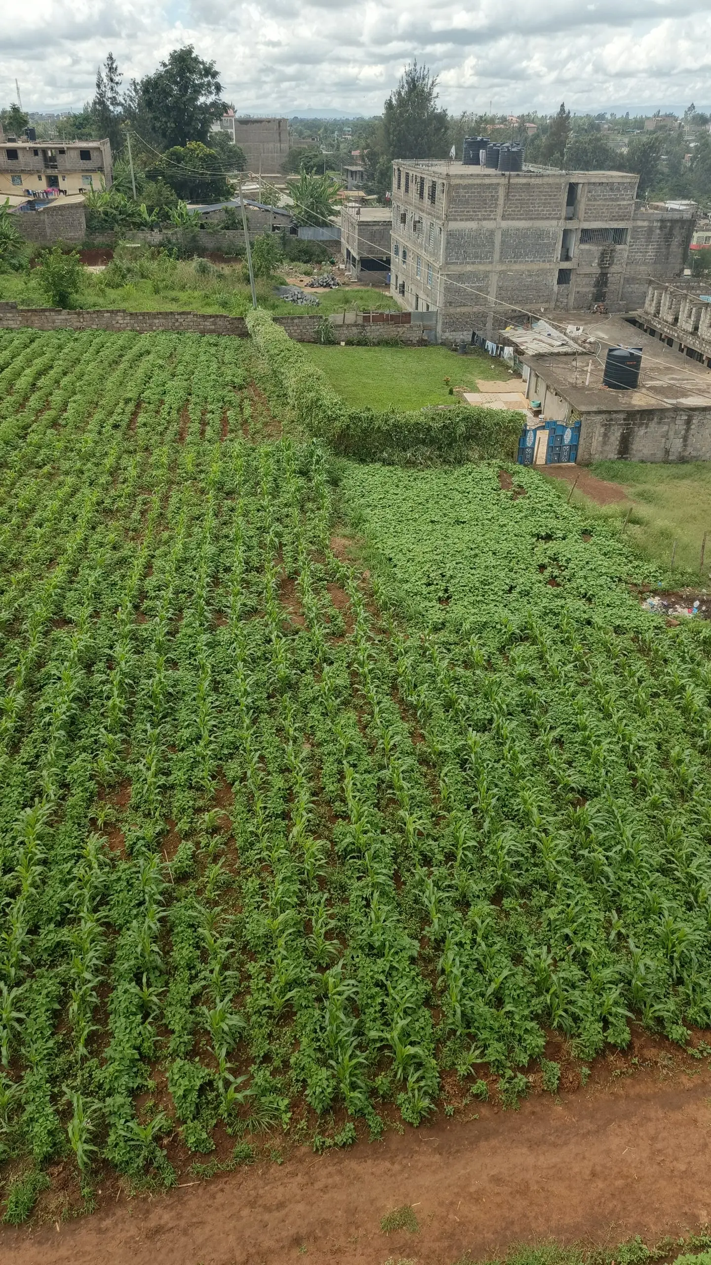 40 BY 60 PLOTS FOR SALE IN JUJA, GWA KAIRU.